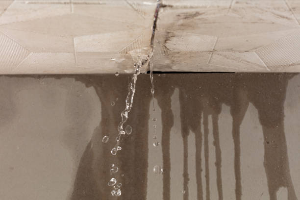 Professional Structural Drying technician working in Oquossoc, ME